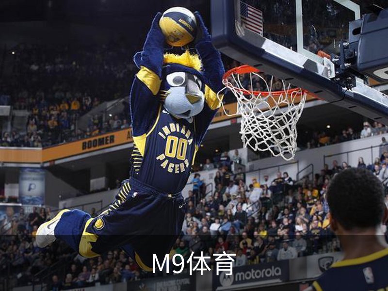M9体育概况